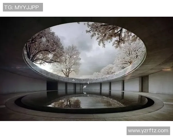 东京体育馆周边区域发展与城市文化融合的未来探索