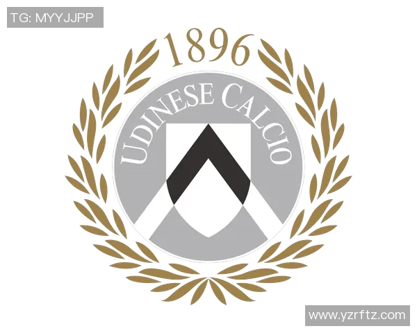 意大利足球甲级联赛历史演变与现代竞技格局分析